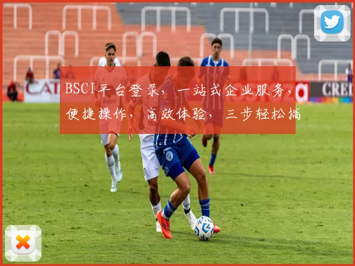 BSCI平台登录，一站式企业服务，便捷操作，高效体验，三步轻松搞定，不容错过