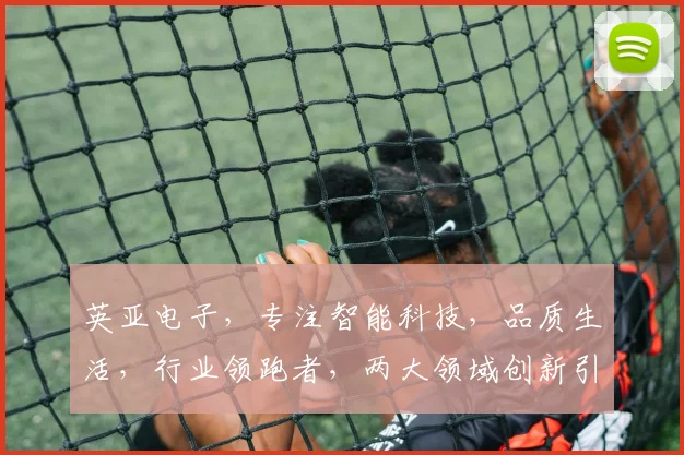 英亚电子，专注智能科技，品质生活，行业领跑者，两大领域创新引领。